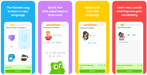 Duolingo Example